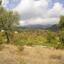 land for sale pera pedi limassol 926986 thumbnail 814117