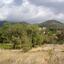 land for sale pera pedi limassol 926986 thumbnail 814118