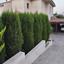 3 bedroom detached house for sale moni limassol 7978096 thumbnail 13174570