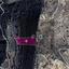 land for sale pachna limassol 8275096 thumbnail 15157480