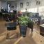 studio office for rent paphos municipality paphos 7813096 thumbnail 12702891