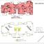 Building for sale in Archangelos, Nicosia thumbnail 16801716