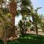 6 bedroom detached house for rent kato paphos universal paphos 8429196 thumbnail 14984400