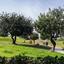 4 bedroom detached house for rent aphrodite hills paphos 8665296 thumbnail 16000856