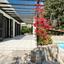 2 bedroom bungalow for sale tala paphos 7733396 thumbnail 16298540