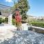 2 bedroom bungalow for sale tala paphos 7733396 thumbnail 16298541