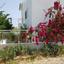 3 bedroom detached house for sale aradippou larnaca 7551396 thumbnail 16407661