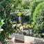 4 bedroom detached house for sale agios tychonas limassol 8720396 thumbnail 16315754