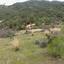 land for sale mitsero nicosia 8139396 thumbnail 16108189