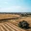 land for sale ormideia larnaca 1360396 thumbnail 5643629