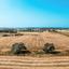 land for sale ormideia larnaca 1360396 thumbnail 5643646