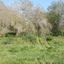 land for sale tremithousa paphos 828396 thumbnail 15178155