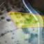 1171 SQM Land for sale in Kalo Chorio Oreinis, Nicosia thumbnail 12677274