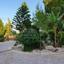 8 bedroom detached house for sale mazotos larnaca 8704496 thumbnail 16230920