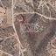 plot for sale maroni larnaca 1812496 thumbnail 10524094
