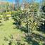 3 bedroom detached house for sale ora larnaca 1683696 thumbnail 4396581