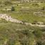 land for sale potamiou limassol 945696 thumbnail 15602204