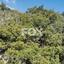 land for sale kapileio limassol 1293796 thumbnail 5587595