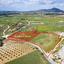 plot for sale anafotida larnaca 1650796 thumbnail 5677207
