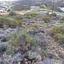 plot for sale panthea limassol 7509796 thumbnail 14127347