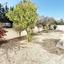 3 bedroom detached house for rent konia paphos 8330896 thumbnail 14297828