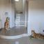 3 bedroom detached house for sale ypsonas limassol 8620896 thumbnail 15830338