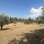 land for sale lythrodontas nicosia 8433896 thumbnail 15594748