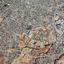 land for sale strovolos nicosia 8629896 thumbnail 15870465