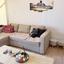1 bedroom apartment for rent nicosia municipality nicosia 8633996 thumbnail 16340894