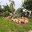 4 bedroom detached house off market germasogeia limassol 1456996 thumbnail 5113340