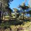 land for sale pera pedi limassol 899996 thumbnail 15603691