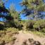 land for sale pera pedi limassol 899996 thumbnail 15603692