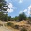 land for sale pera pedi limassol 899996 thumbnail 17159017