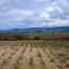 land for sale stroumbi paphos 8531996 thumbnail 16277557
