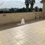 3 bedroom penthouse for rent parissinos nicosia 1682007 thumbnail 4735381