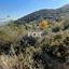 5686 SQM Land for sale in Mathikoloni, Limassol thumbnail 5577615