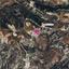 land for sale peyia paphos 8469007 thumbnail 15200668