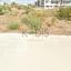 plot for sale zakaki limassol 8805007 thumbnail 16806654