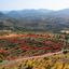 16827 SQM Land for sale in Agia Marina Xyliatou, Nicosia thumbnail 16266946