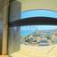 2 bedroom apartment for rent agios tychonas limassol 7784107 thumbnail 14627324
