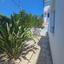 3 bedroom detached house for sale zygi larnaca 8961307 thumbnail 17811393