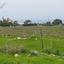 land for sale paralimni famagusta 1336307 thumbnail 15599761