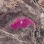 land for sale agios theodoros larnacas larnaca 1650407 thumbnail 17040522