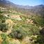 land for sale arakapas limassol 1861407 thumbnail 9325095