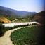 land for sale arakapas limassol 1861407 thumbnail 9325096