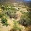 land for sale arakapas limassol 1861407 thumbnail 9325097