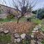 3 bedroom detached house for sale choulou paphos 7738507 thumbnail 10203407