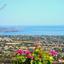 land for sale peyia paphos 737507 thumbnail 602017