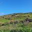 10703 SQM Land for sale in Lasa, Paphos thumbnail 15598606
