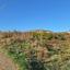 land for sale anarita paphos 8529607 thumbnail 15456157
